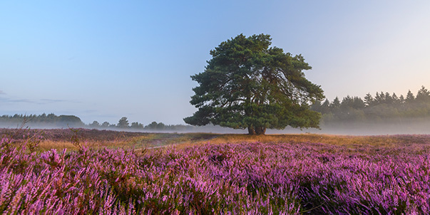 Veenendaal sauna - VakantieVeilingen